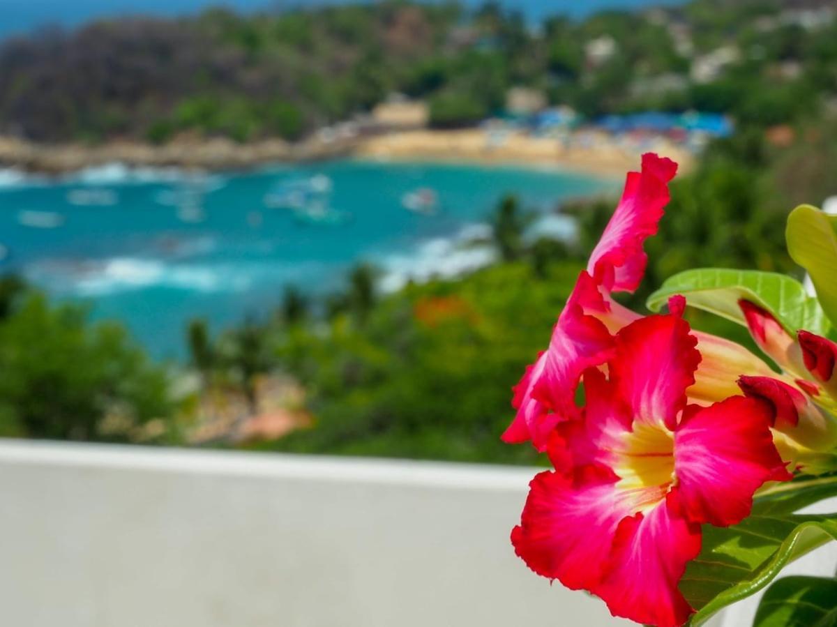 Casa Cascada - Adults Only Hotel Puerto Escondido  Buitenkant foto